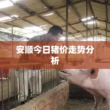 安顺今日猪价走势分析