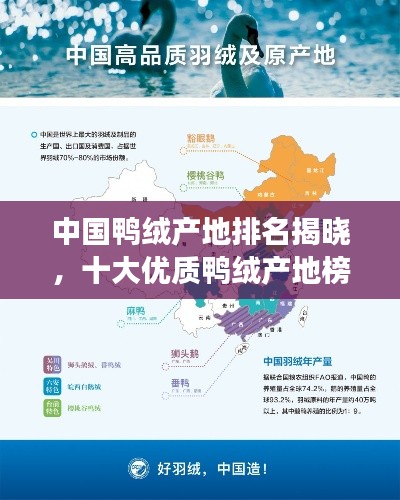 中国鸭绒产地排名揭晓，十大优质鸭绒产地榜单重磅出炉！