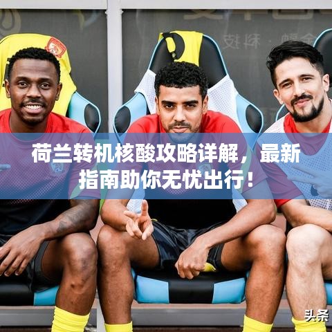荷兰转机核酸攻略详解，最新指南助你无忧出行！