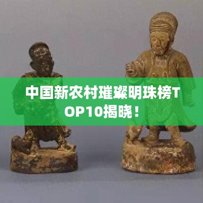 中国新农村璀璨明珠榜TOP10揭晓！