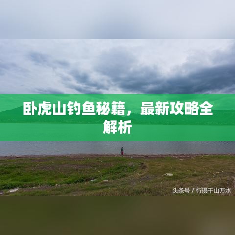 卧虎山钓鱼秘籍，最新攻略全解析