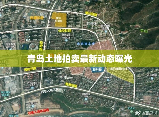青岛土地拍卖最新动态曝光