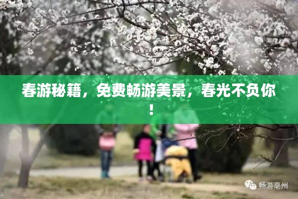 春游秘籍，免费畅游美景，春光不负你！