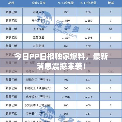 今日PP日报独家爆料，最新消息震撼来袭！
