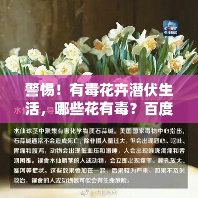 警惕！有毒花卉潜伏生活，哪些花有毒？百度揭秘真相！