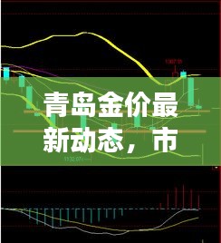青岛金价最新动态，市场走势深度分析与预测报告