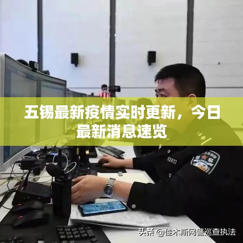 乌鸟私情