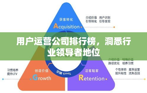 用户运营公司排行榜，洞悉行业领导者地位