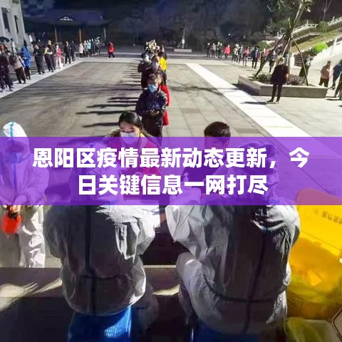 恩阳区疫情最新动态更新，今日关键信息一网打尽