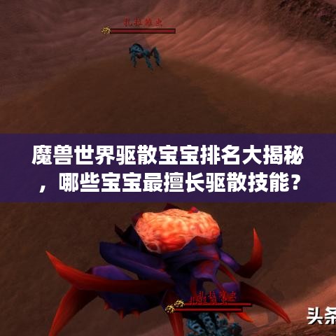 魔兽世界驱散宝宝排名大揭秘，哪些宝宝最擅长驱散技能？