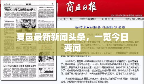 夏邑最新新闻头条，一览今日要闻