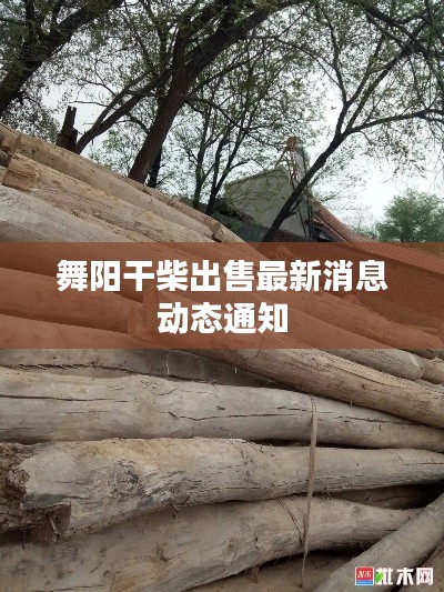 舞阳干柴出售最新消息动态通知