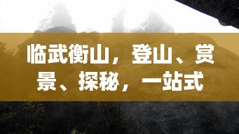另谋高就 第2页