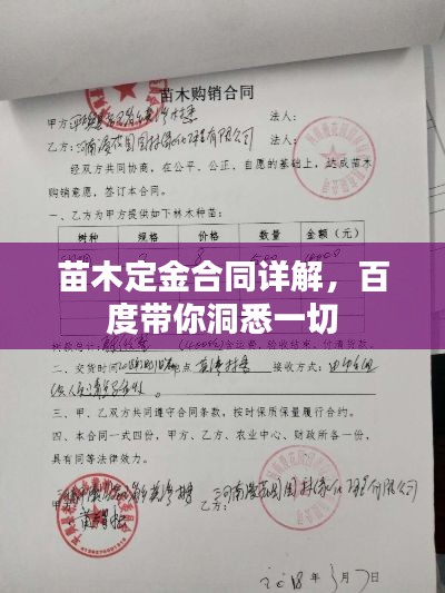 苗木定金合同详解，百度带你洞悉一切