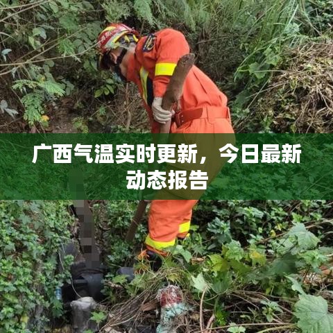 广西气温实时更新，今日最新动态报告