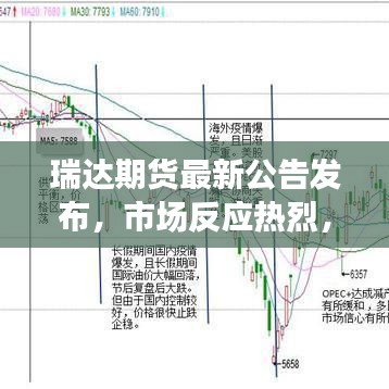 瑞达期货最新公告发布，市场反应热烈，机遇与挑战并存