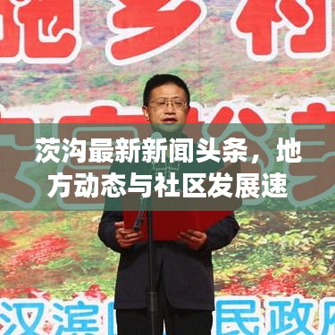 茨沟最新新闻头条，地方动态与社区发展速览