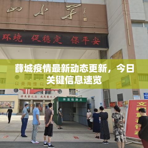 薛城疫情最新动态更新，今日关键信息速览
