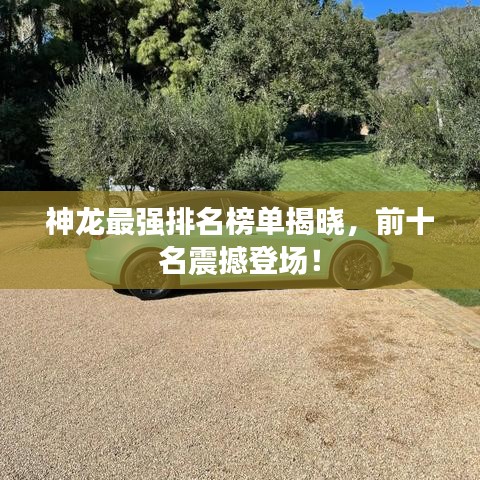 神龙最强排名榜单揭晓，前十名震撼登场！