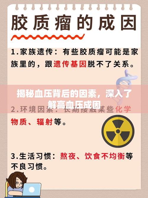 揭秘血压背后的因素，深入了解高血压成因