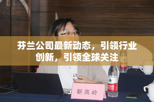 芬兰公司最新动态，引领行业创新，引领全球关注