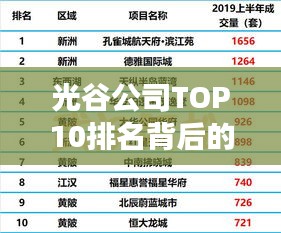 光谷公司TOP10排名背后的成功因素深度解析