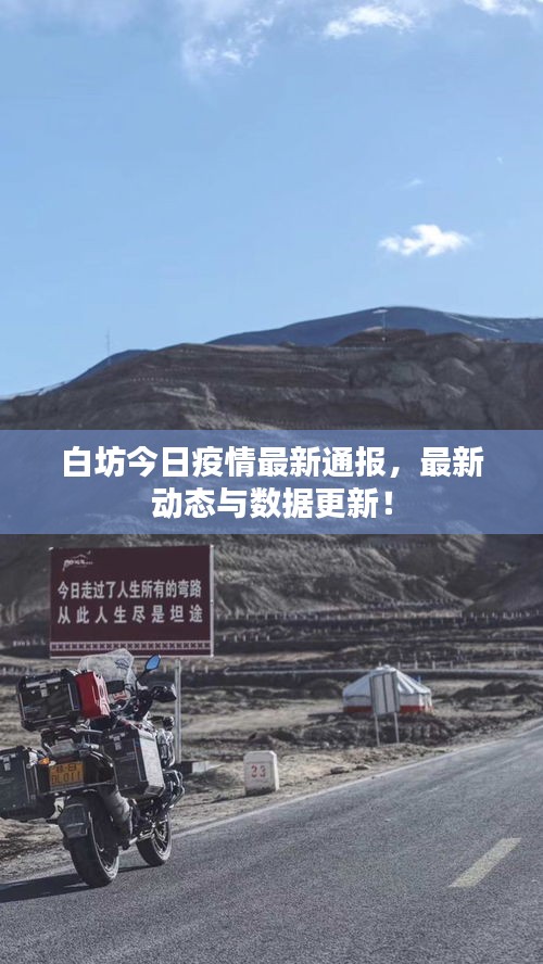 白坊今日疫情最新通报，最新动态与数据更新！