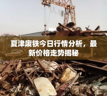 夏津废铁今日行情分析，最新价格走势揭秘
