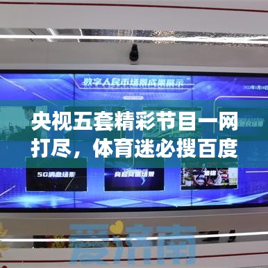 央视五套精彩节目一网打尽，体育迷必搜百度收录标题！