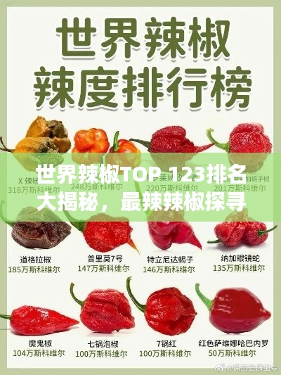 吸附材料 第22页