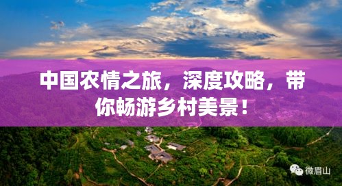 中国农情之旅，深度攻略，带你畅游乡村美景！