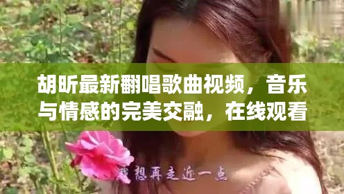 胡昕最新翻唱歌曲视频，音乐与情感的完美交融，在线观看热血沸腾！