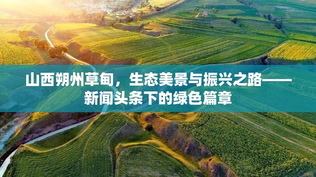 山西朔州草甸，生态美景与振兴之路——新闻头条下的绿色篇章