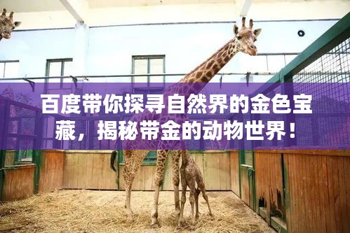 百度带你探寻自然界的金色宝藏，揭秘带金的动物世界！