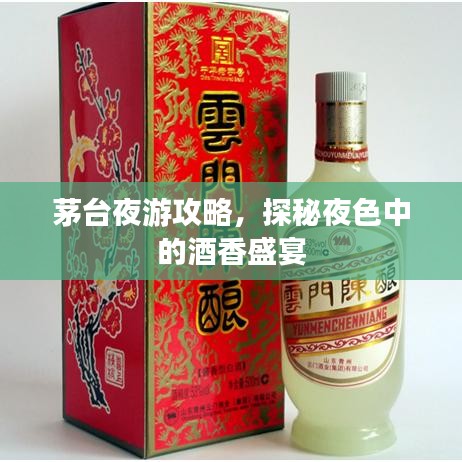 茅台夜游攻略，探秘夜色中的酒香盛宴
