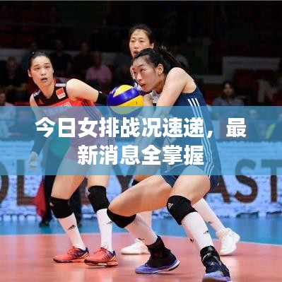 今日女排战况速递，最新消息全掌握