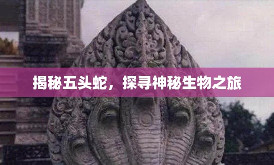 揭秘五头蛇，探寻神秘生物之旅