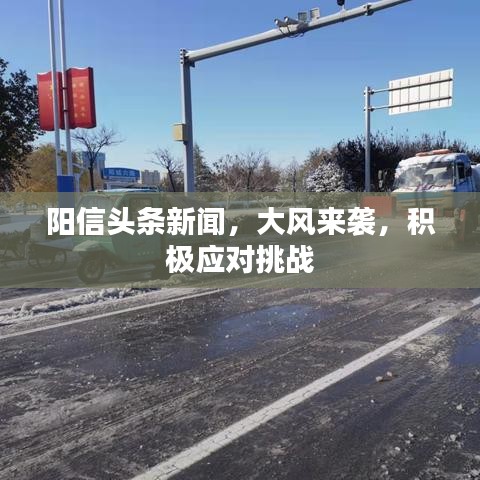 阳信头条新闻，大风来袭，积极应对挑战