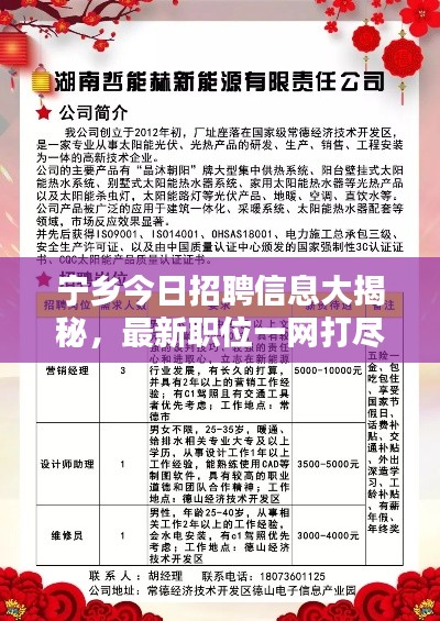 宁乡今日招聘信息大揭秘，最新职位一网打尽