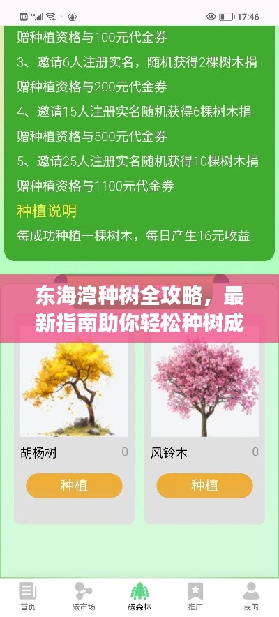 东海湾种树全攻略，最新指南助你轻松种树成功！