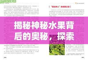 揭秘神秘水果背后的奥秘，探索未知，百度揭晓答案