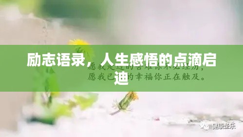励志语录，人生感悟的点滴启迪