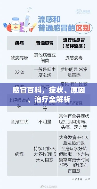 感冒百科，症状、原因、治疗全解析
