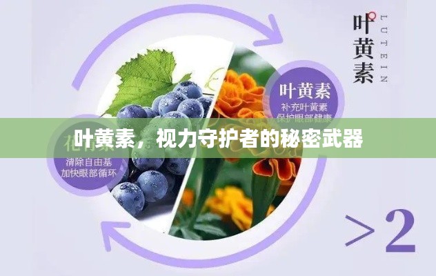 叶黄素，视力守护者的秘密武器