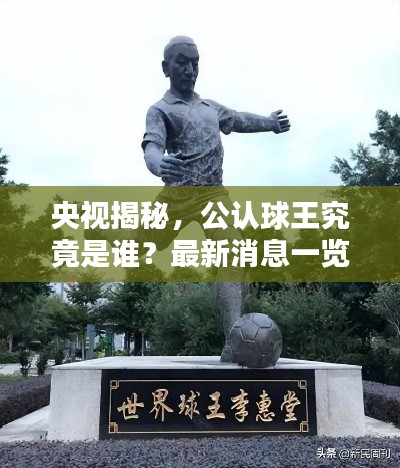 央视揭秘，公认球王究竟是谁？最新消息一览无余