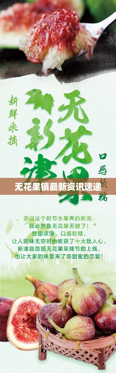 无花果镇最新资讯速递