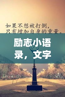 励志小语录，文字与图片的完美交融，激发无限正能量！
