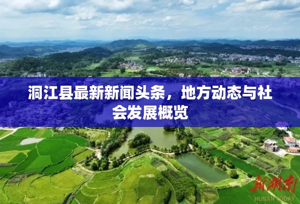 洞江县最新新闻头条，地方动态与社会发展概览