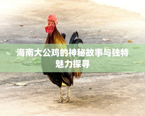 海南大公鸡的神秘故事与独特魅力探寻
