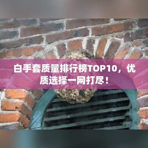 白手套质量排行榜TOP10，优质选择一网打尽！